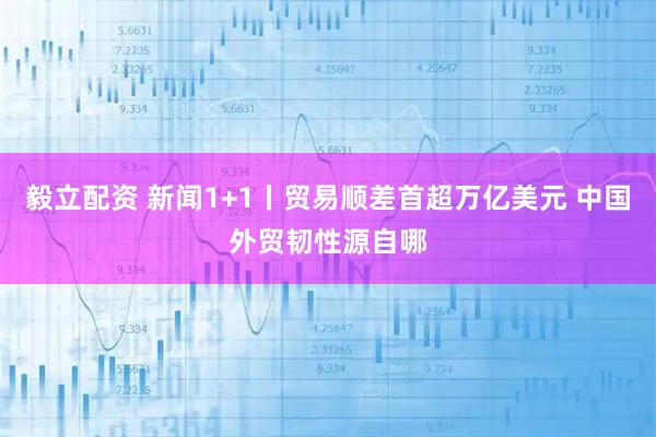 毅立配资 新闻1+1丨贸易顺差首超万亿美元 中国外贸韧性源自哪