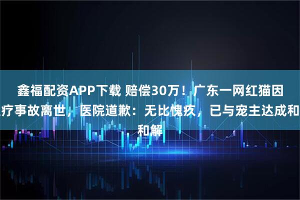 鑫福配资APP下载 赔偿30万！广东一网红猫因医疗事故离世，医院道歉：无比愧疚，已与宠主达成和解